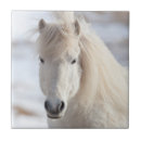 Suche nach isländisch untersetzer Pony