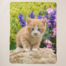 Suche nach lustiger tiger decken Tier