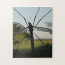 Recherche de legs puzzles Insecte