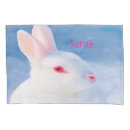 Recherche de oreille de lapin Blanc