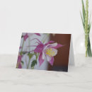 Suche nach singvogel karten Blume