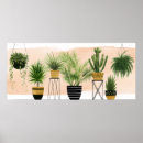 Recherche de plant posters Fern