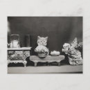 Suche nach reinigen postkarten Katzen