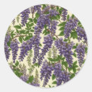 Recherche de wisteria autocollants Lavande