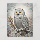 Recherche de neige blanche cartes postales Nature