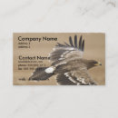 Recherche de aigle en vol cartes visite Oiseau