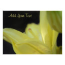 Suche nach lilium poster Flora