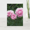 Suche nach rosa pfingstrosen karten Natur