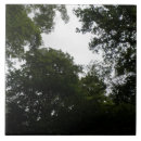 Recherche de erie carreaux Eérie