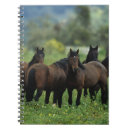 Suche nach mustang kleine notizbücher Foto