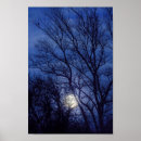 Recherche de arbre nu posters Arbres
