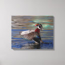 Suche nach wings leinwandbilder Vogelvogel