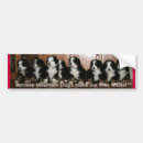 Suche nach berner autoaufkleber Hund