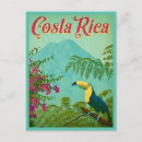 Recherche de rica cartes postales Palmier