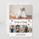 Recherche de animals cartes halloween Chat
