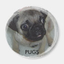 Suche nach mops liebe magnete Magneten