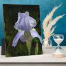 Suche nach iris fotoplatten Natur