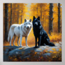 Suche nach schwarz weißer wolf poster Wölfe