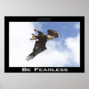 Suche nach adler foto poster Eagles