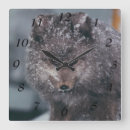 Recherche de phases horloges Mur