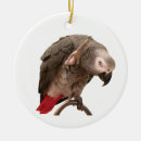 Suche nach papageien ornamente Weihnachten