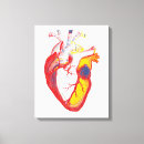 Recherche de médical impressions sur toile Anatomie