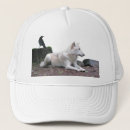 Recherche de loup de casquettes Bois