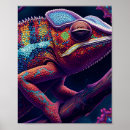 Suche nach reptil poster Natur