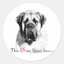 Suche nach mastiff aufkleber Alter englischer mastiff