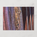 Recherche de prix cartes postales Photographie