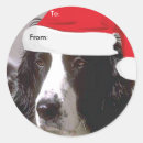 Suche nach englische aufkleber Englisch springer spaniel