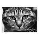 Recherche de bonjour photographie Noir