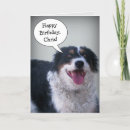Suche nach border collies karten Dog