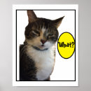 Suche nach lustige katzen und poster Spaß