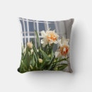 Recherche de jonquille blanche Jonquilles