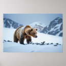 Suche nach braunbären poster Tragen