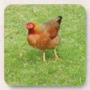 Suche nach geflügel untersetzer Huhn