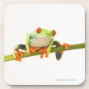 Suche nach baumfrosch untersetzer Reptilien