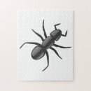 Recherche de fourmis puzzles Animal