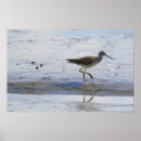 Suche nach legs poster Vögel