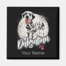 Recherche de dalmates magnets Pour tous