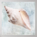 Recherche de eau couleur posters Littoral
