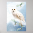 Suche nach schnee eulen poster Beute