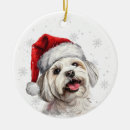 Suche nach sankt nikolaus ornamente Familie