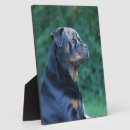 Suche nach rottweiler fotoplatten Hund