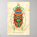 Suche nach interessante poster Orange