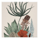 Suche nach protea poster Botanisch