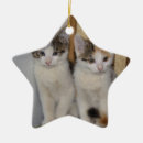Recherche de impressionnant ornements Mignon
