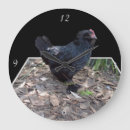 Suche nach hühner wanduhren Hahn