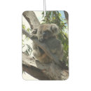 Recherche de l australie voiture accessoires Mignon